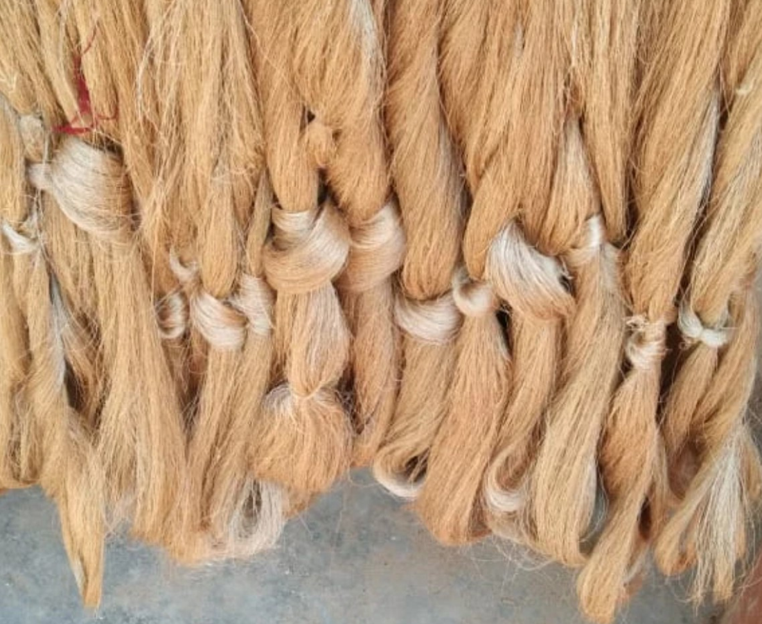 Muga, The Drape of Golden Fibre