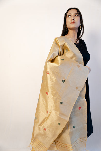 Satvi Wheat Brown-Multicolored Paat Silk Sador