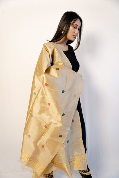 Satvi Wheat Brown-Multicolored Paat Silk Sador