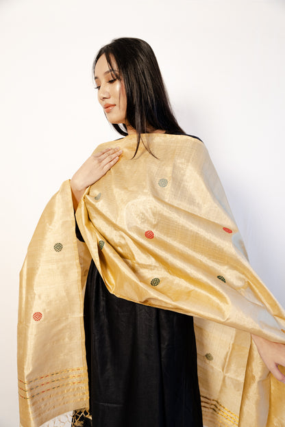 Satvi Wheat Brown-Multicolored Paat Silk Sador