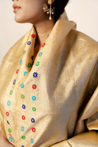 Nuha Rich Gold-Multicolored Kesa Paat Silk Sador